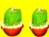 कजरियां (भुजरियां)