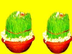 कजरियां (भुजरियां)