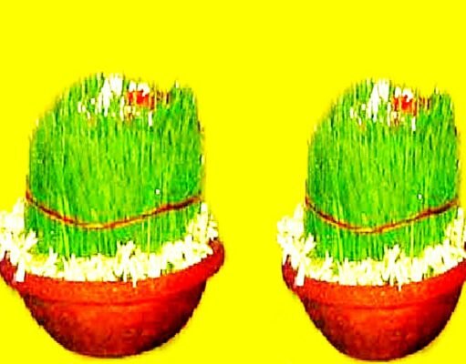 कजरियां (भुजरियां)